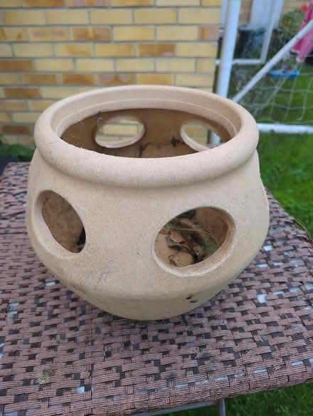Photo of free Strawberry plant pot (Shippon OX13) #1