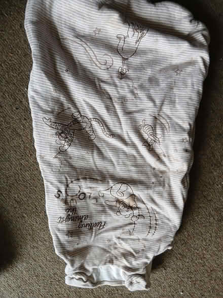 Photo of free Sleeping bag Winnie the poo 0-6 months (West Hill TN34) #1