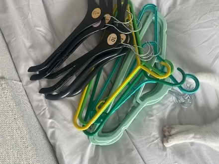 Photo of free Clothes/coat hangers (Warsash, SO31) #1