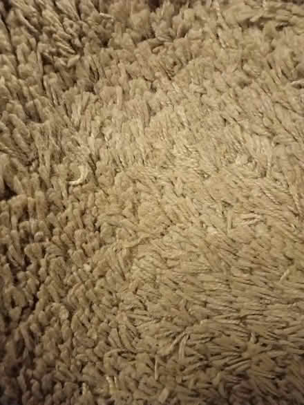 Photo of free Large IKEA beige rug (Manchester M20) #1