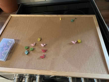 Photo of free Small lightweight cork 40 x 60 (Turnford EN8) #1