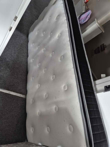 Photo of free Single matress (Worcester WR2) #2