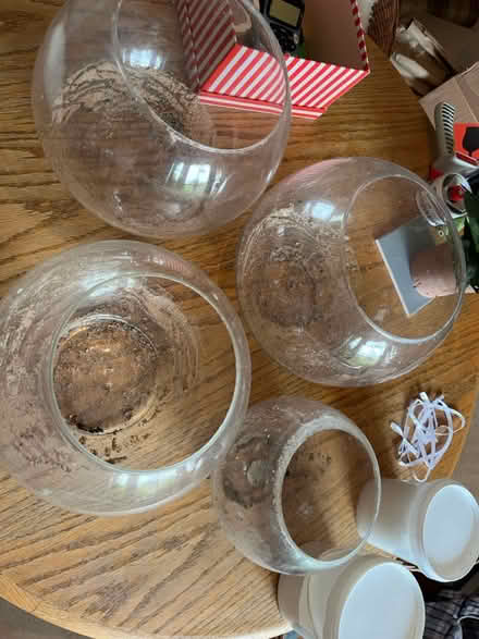 Photo of free Fish bowls (TN32) #1