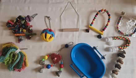 Photo of free Bird toys, various sizes (Chapeltown S35) #1