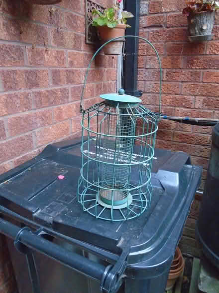 Photo of free Peanut bird feeder (Lower Earley RG6) #1