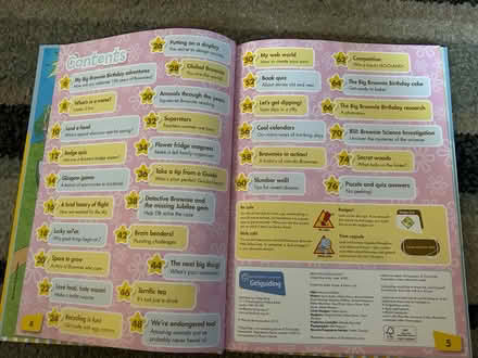 Photo of free Brownie annual and 2 pin badges (Jennetts park RG12) #3