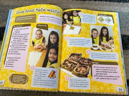 Photo of free Brownie annual and 2 pin badges (Jennetts park RG12) #4