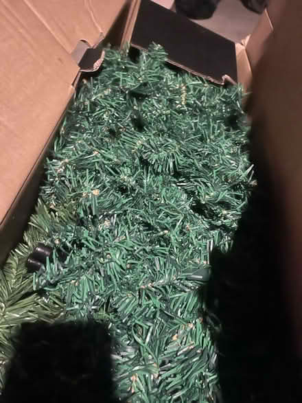 Photo of free 6ft Xmas tree (South Norwood, SE25) #4