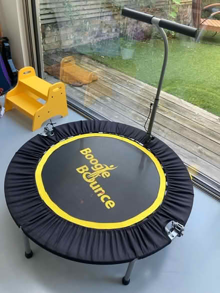 Photo of free Boogie Bounce mini trampoline (Finsbury Park (N4)) #1