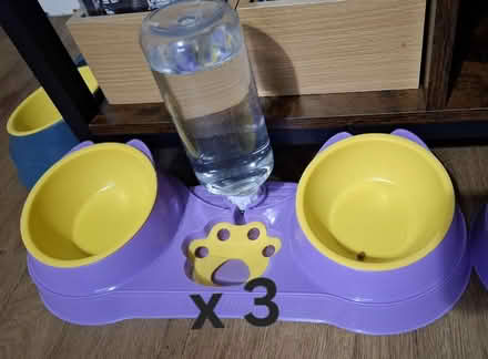 Photo of free Cat stuff (Cleehill SY8) #3