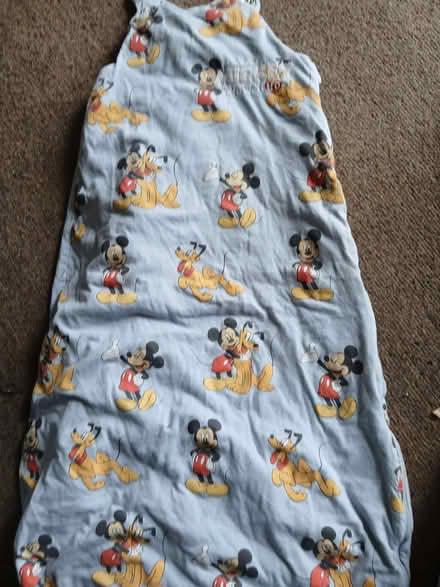 Photo of free Sleeping bag Disney 18-24 months (West Hill TN34) #1