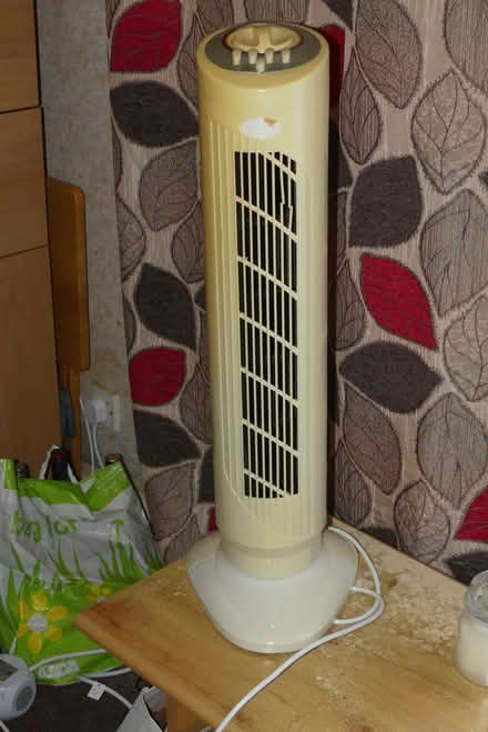 Photo of free Vertical oscillating fan (Downley HP13) #2