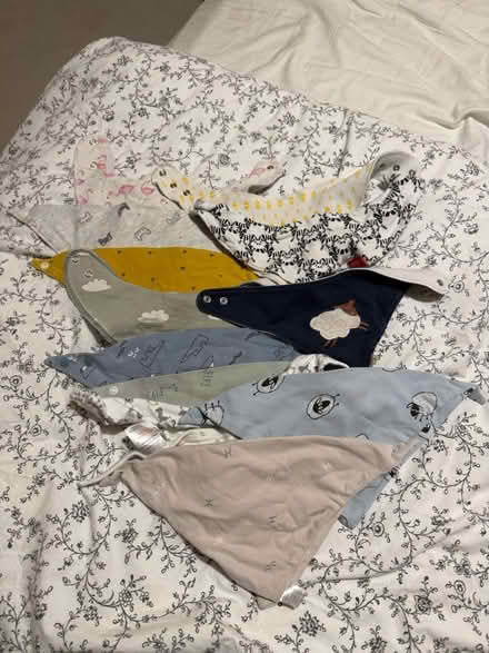 Photo of free Dribble bibs (Winchester SO22) #1