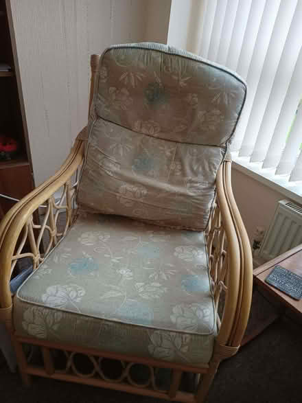 Photo of free Bamboo conservatory suite (Little Herberts GL53) #1