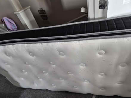 Photo of free Single matress (Worcester WR2) #1