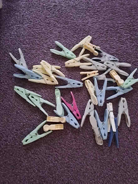 Photo of free Assortment of clothes Pegs (x 34) (Harefield SO19) #1