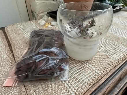 Photo of free Orchid pot – Eva Solo (Leytonstone E11) #1