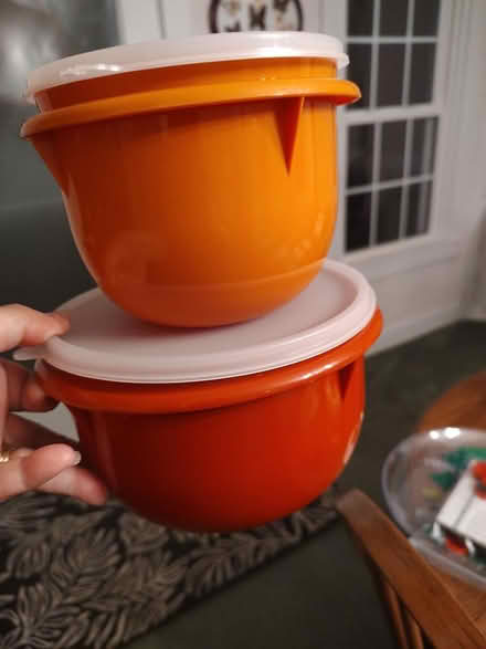 Photo of free Pair of Tupperware bowls (Odenton) #1