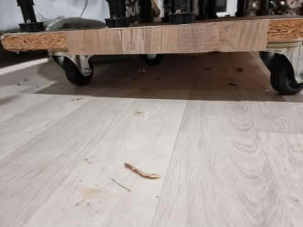 Photo of free Kitchen Island (Oakwood LS8) #3