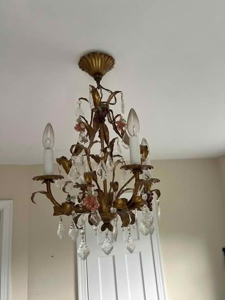 Photo of free Chandelier w/ glass grapes (Tenleytown DC) #1
