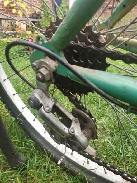 Photo of free Green Raleigh Bicycle (shed find) (Frimley Green (GU16)) #3