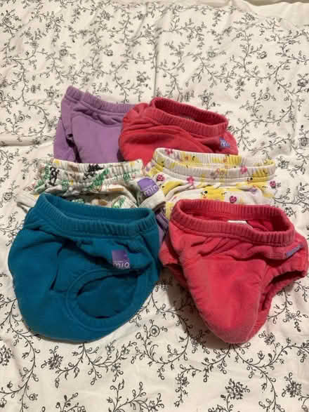 Photo of free Potty training pants (Winchester SO22) #1