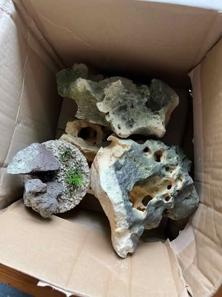 Photo of free Fish tank rocks and ornament (TN24) #1