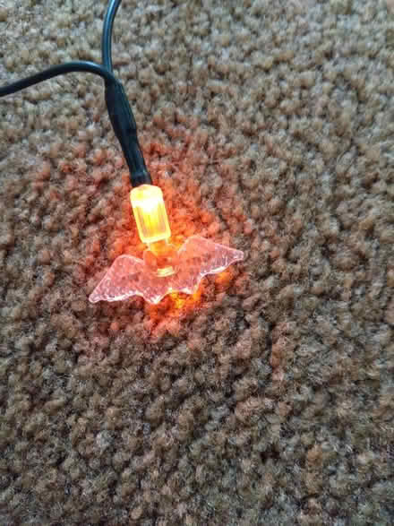 Photo of free Halloween bat lights (Leckhampton GL53) #2
