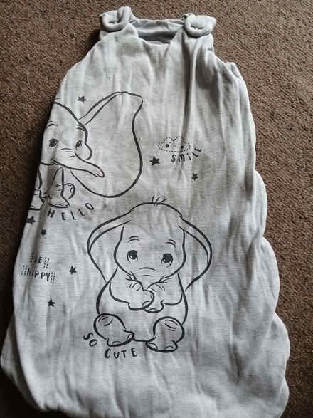Photo of free Sleeping bag 0-6 months. (West Hill TN34) #1