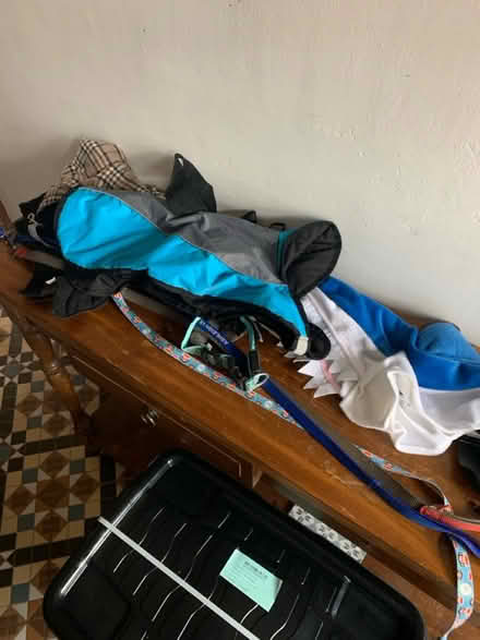 Photo of free Assortment of dog accessories (M32) #1