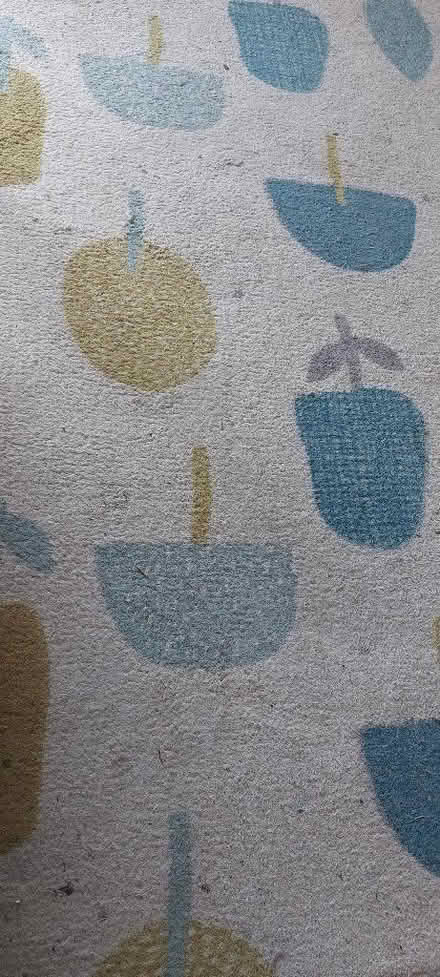 Photo of free Grubby rug (Lower Weston) #1