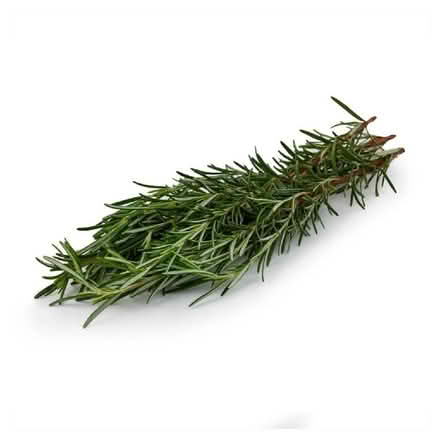 Photo of free Fresh cut rosemary (Millhouses S7) #1