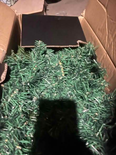 Photo of free 6ft Xmas tree (South Norwood, SE25) #3