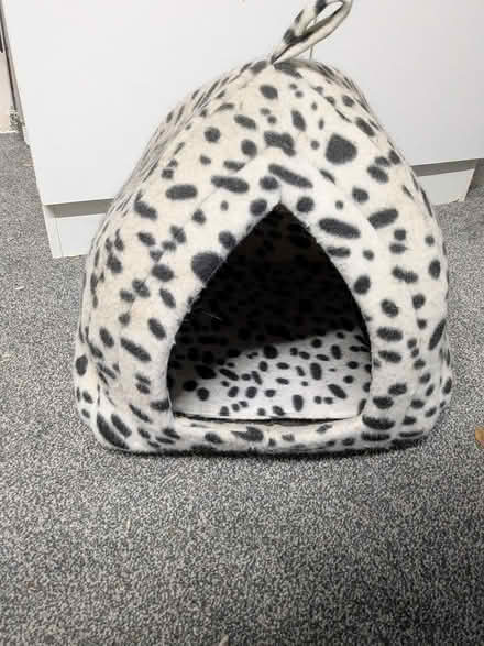 Photo of free Cat igloo (Newcastle Under Lyme) #1