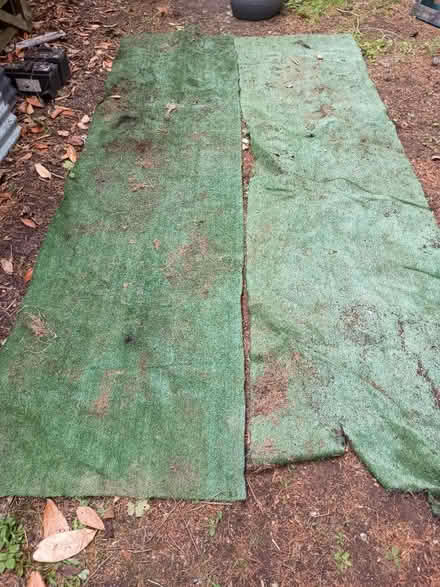 Photo of free Astro turf (Manningtree) #1