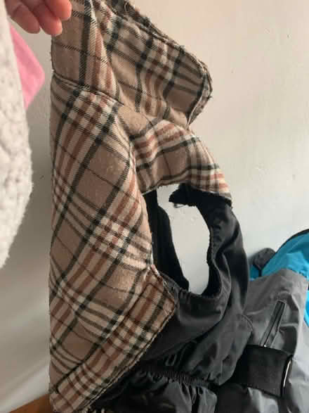 Photo of free Assortment of dog accessories (M32) #3