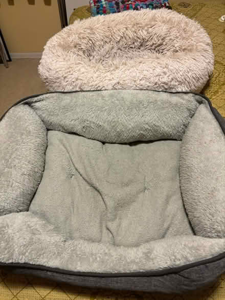 Photo of free Two small dog beds (West Highland area) #1