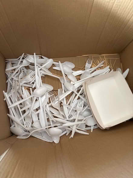 Photo of free Paper plates (Downley HP13) #1