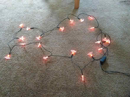 Photo of free Halloween bat lights (Leckhampton GL53) #1