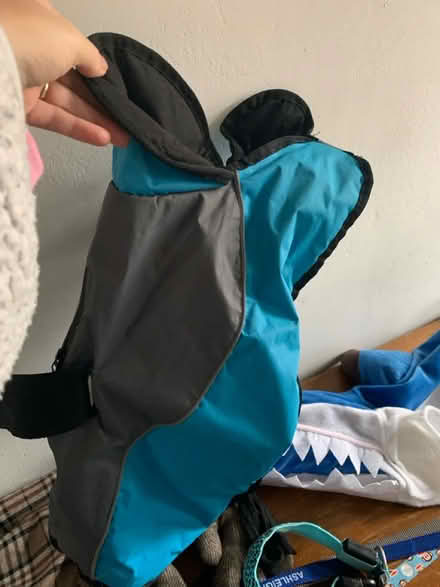 Photo of free Assortment of dog accessories (M32) #2