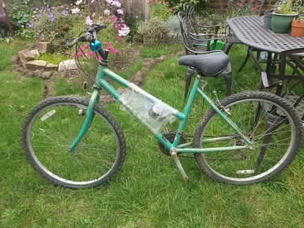 Photo of free Green Raleigh Bicycle (shed find) (Frimley Green (GU16)) #1