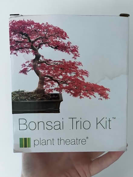 Photo of free Grow your own Bonsai Tree kit (Leatherhead KT22) #1