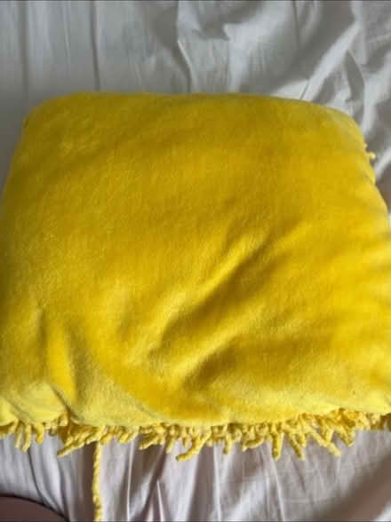 Photo of free Small duck plush cushion (KT1 Kingston upon Thames) #2