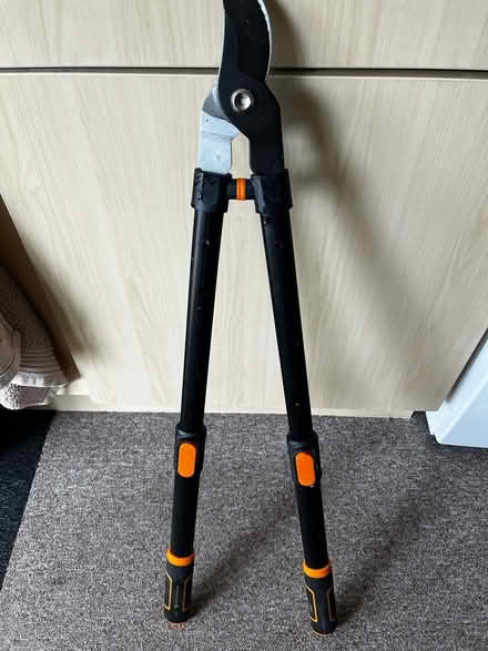 Photo of free Extended Pruner (Christchurch BH23) #2