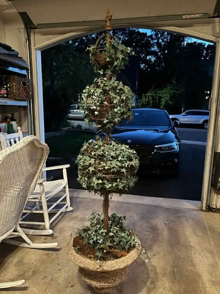Photo of free Topiary - on the curb now (Vienna community center) #1