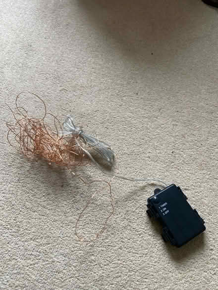 Photo of free Fairy lights (Barnes) #1