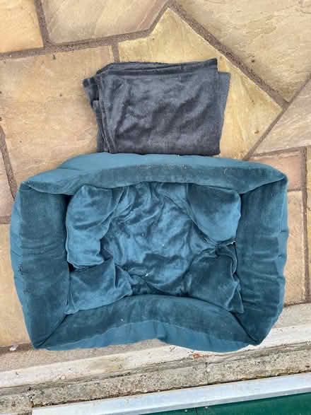 Photo of free Dog Basket (St Nicholas SG1) #1