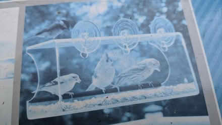 Photo of free Window bird feeder (CM15 Shenfield) #1