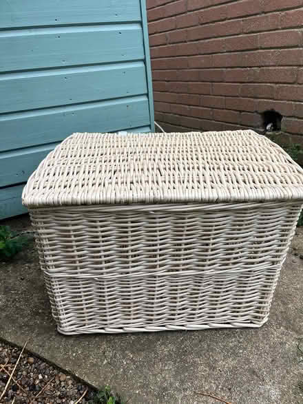 Photo of free Wicker storage chest (CT7) #1