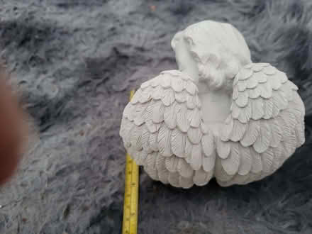 Photo of free Cherub (Shirley B90) #2